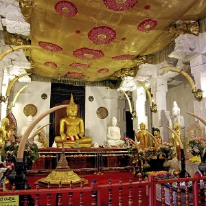 Inside the Temple of the Tooth