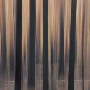 Intentionnel mouvement de la caméra (ICM) des troncs d'arbres après un incendie forestier à Hiittenhautakangas en été, Parc national Seitseminen, Finlande. Intentionnel mouvement de la caméra (ICM) des troncs d'arbres après un incendie forestier à Hiittenhautakangas en été, Parc national Seitseminen, Finlande.
