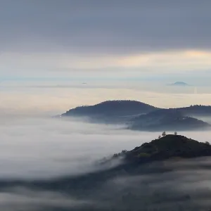 Inversion weather, fog, dawn, autumn