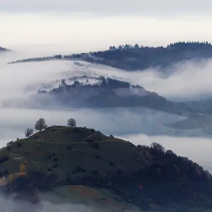 Inversion weather, fog, dawn, autumn Inversion weather, fog, dawn, autumn