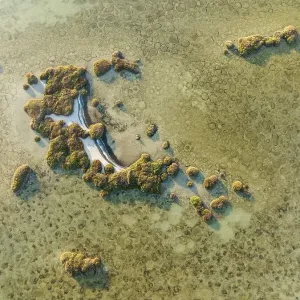 Islands and conspicuous patterns at the shallow lagoon Salinas de Cerrillos