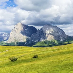 Italy, Alpe di Siusi, Seiser Alm with Sassolungo Langkofel Dolomite