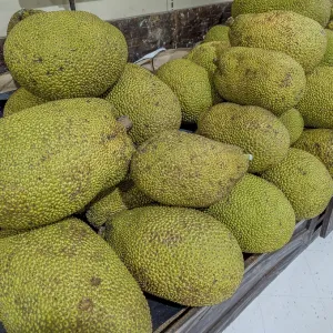 Fruta de Jack en exhibición en la sección del mercado de la tienda.