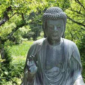 Japanese Buddha statue in zen garden environment in Kamakura Japanese Buddha statue in zen garden environment in Kamakura