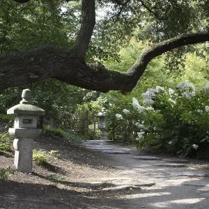Japanese garden Japanese garden