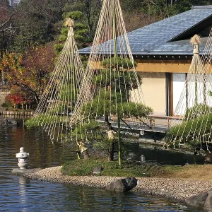 Japanese garden background with pond