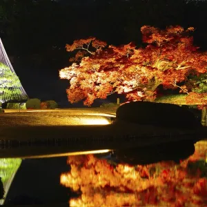 Japanese garden image. Shooting Location: Tokyo metropolitan area Japanese garden image. Shooting Location: Tokyo metropolitan area