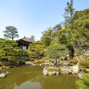 Japanese Garden with Pond, North Garden