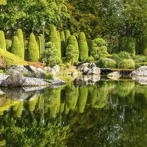 Japanese garden in the Rhine meadows