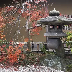 Japanese lantern and autumnal maple tree - momiji