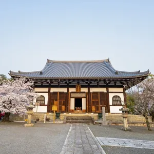 Japanese temple with blooming cherry trees Japanese temple with blooming cherry trees