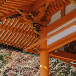 Detail of a Japanese temple with orange wood structures and autumn background