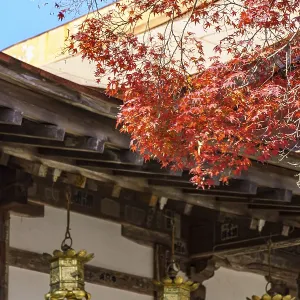 Japanese temple with red maple leaves and ornate lanterns