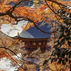 Japanese temple surrounded by autumn maple leaves