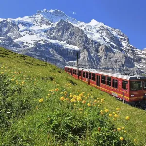Jungfrau Railway at Kleine Scheidegg in front of the Jungfrau-Massif Jungfrau Railway at Kleine Scheidegg in front of the Jungfrau-Massif