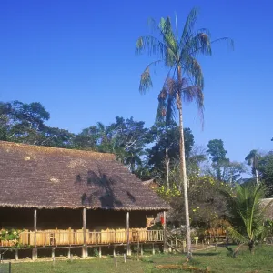 Jungle Lodge Explorer's Inn Jungle Lodge Explorer's Inn
