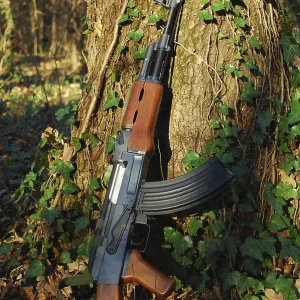 A kalashnikov rifle leaning against a tree in a forest