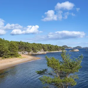 Kanelstranda, coast in Furulunden nature park Park by the Mannefjord Kanelstranda, coast in Furulunden nature park Park by the Mannefjord