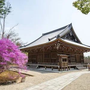 Kannondo of Ninna-ji Temple, purple blooming bush in spring