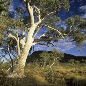 Karijini National Park, Hamersley Range, Pilbara