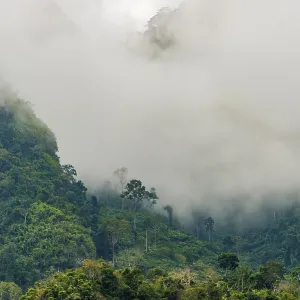 Karst mountains shrouded in clouds Karst mountains shrouded in clouds