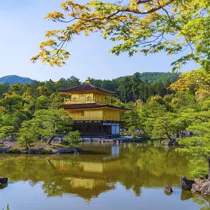 Kinkakuji, Temple of the Golden Pavilion