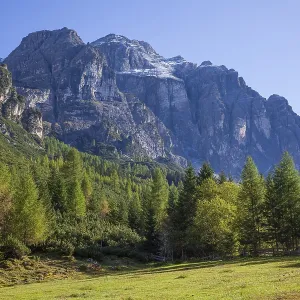 Kirchdachspitze mountain and forest in autumn Kirchdachspitze mountain and forest in autumn