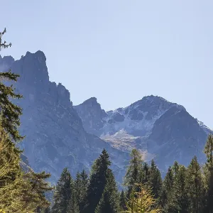 Kirchdachspitze mountain and forest in autumn