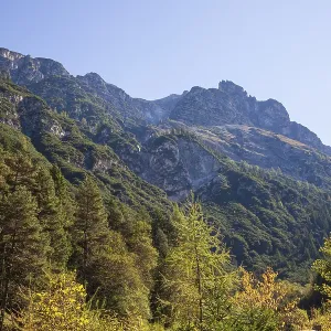 Kirchdachspitze mountain and forest in autumn