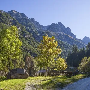 Kirchdachspitze mountain and forest in autumn