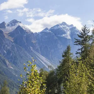 Kirchdachspitze mountain with forest and trees in autumn