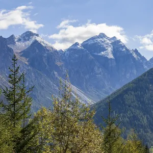 Kirchdachspitze mountain with forest and trees in autumn