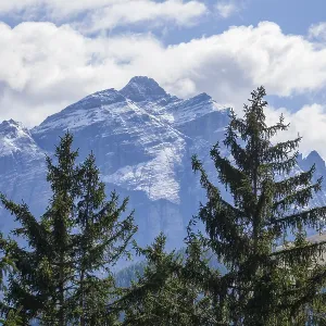 Kirchdachspitze mountain with forest and trees in autumn