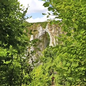 La Kissing Sau, una roca vista a través de árboles. La Kissing Sau, una roca vista a través de árboles.