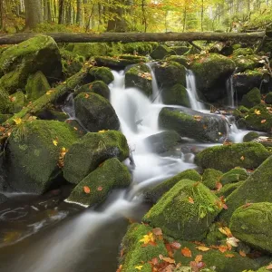 Kleine Ohe, a stream flowing between moss-covered rocks