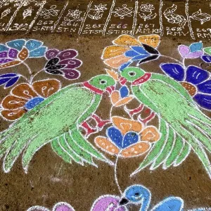 Kolam Rangoli during Pongal Festival in Tamil Nadu
