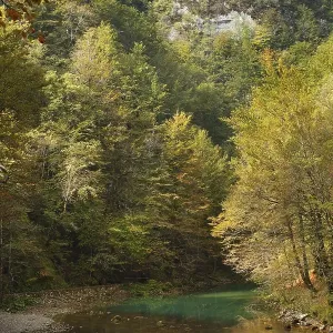 Kupa source, Kupa river, Risnjak National Park Kupa source, Kupa river, Risnjak National Park