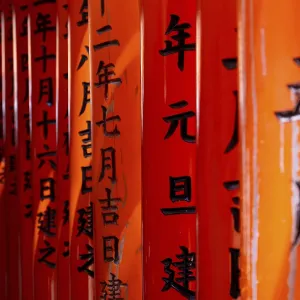 Kyoto, Japan, April 23 2025: Bright red torii gate standing closely together