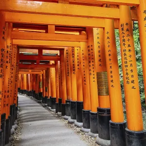Kyoto, Japan - May 15 2019: Red Tori Gate at Fushimi Inari Shrine in Kyoto Kyoto, Japan - May 15 2019: Red Tori Gate at Fushimi Inari Shrine in Kyoto