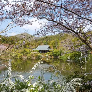 Kyoyochi pond in the Japanese garden Kyoyochi pond in the Japanese garden