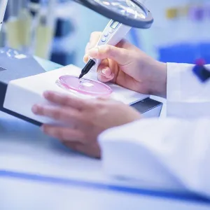 Lab technician with sample in petri dish working in a lab with lab equipment Lab technician with sample in petri dish working in a lab with lab equipment