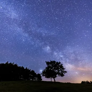 Via lactea precious on Mount Erlaitz in the town of Irun Via lactea precious on Mount Erlaitz in the town of Irun