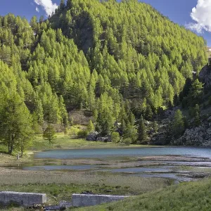 Lago Nero di Cesana, Italian Alps Lago Nero di Cesana, Italian Alps