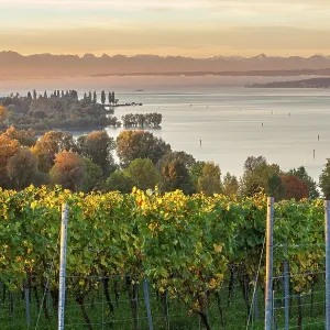 Lake Constance with an Alpine panorama at sunrise