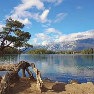 Lake with a crooked tree on the shore Lake with a crooked tree on the shore