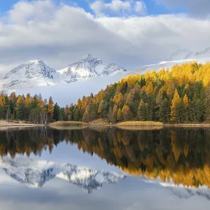 Lake Stazer in front of mountain peaks with snow Lake Stazer in front of mountain peaks with snow