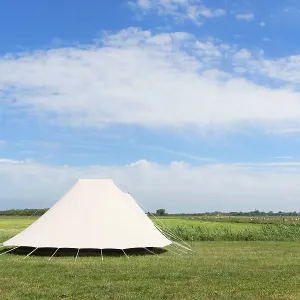 Landscape Camping with tent in meadows with cows