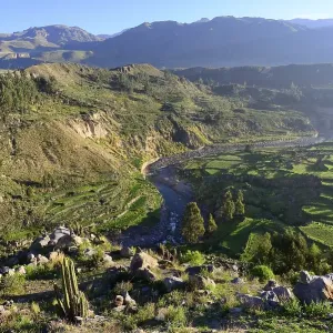 Landscape at the canyon of the Rio Colca Landscape at the canyon of the Rio Colca