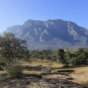 Landscape in the dry season in Mudumalai National Park