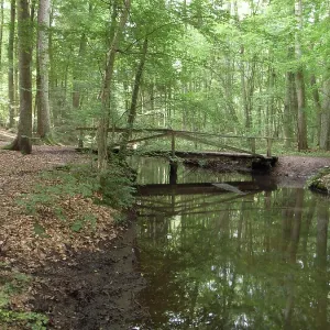 Landscape to eitzener brook in bienenbuettel germany